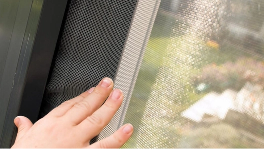 LOMAX Reference – Insect nets